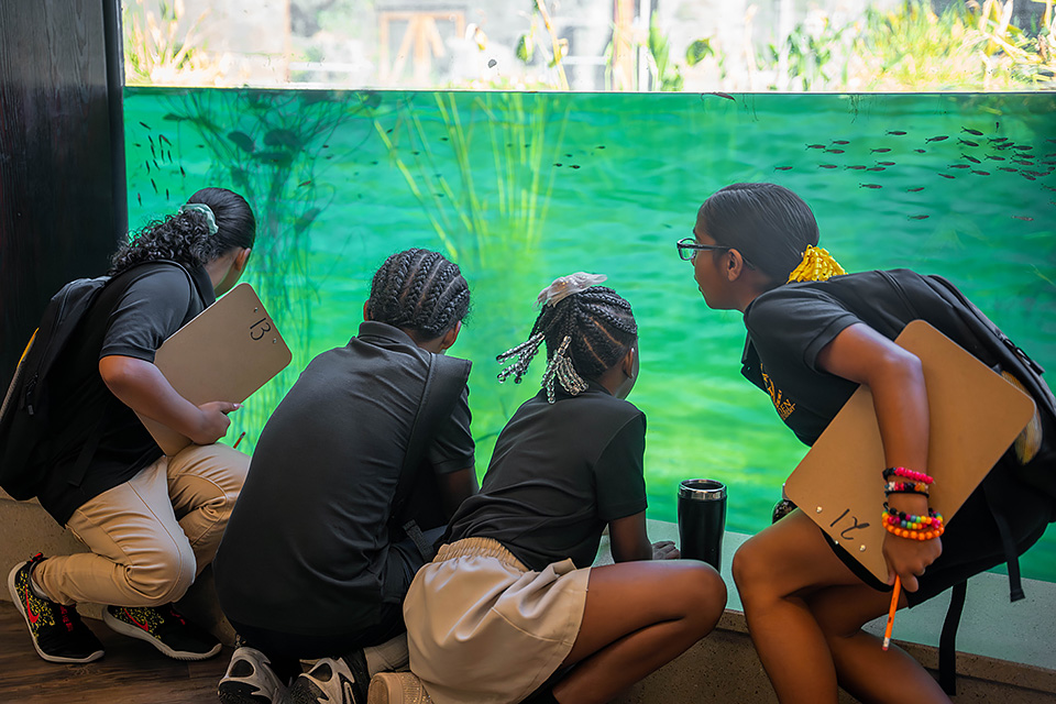 Fresno Chaffee Zoo visit