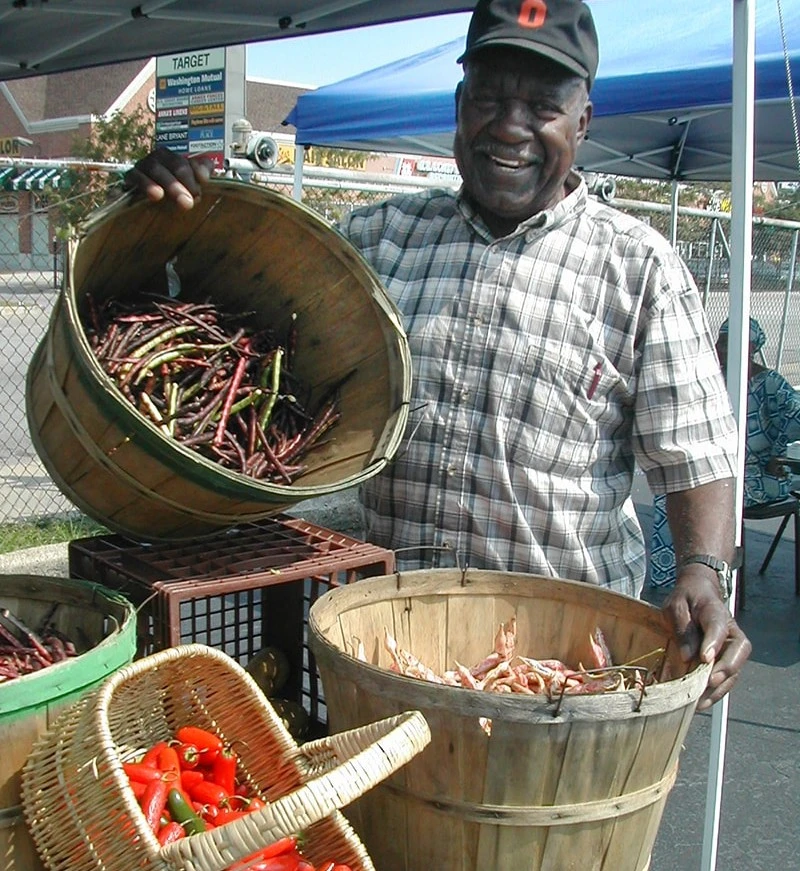 farmers'-market-seller Seasonal farmers markets.