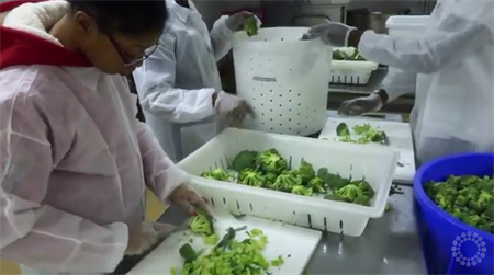 Connecting local farmers to NC tables all year round Local Farmers