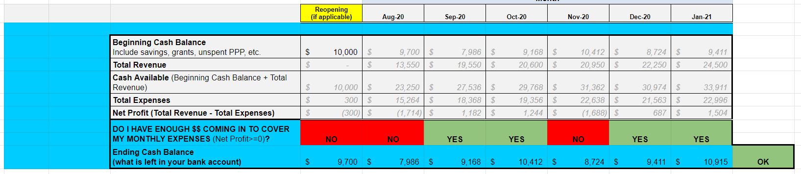 Crisis Management Budget Screenshot