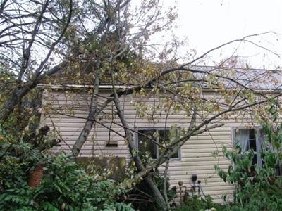 Disaster Relief
