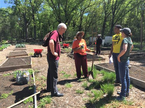 Earth Day volunteers Self-Help staff volunteer at a nonprofit farm, UCAN.