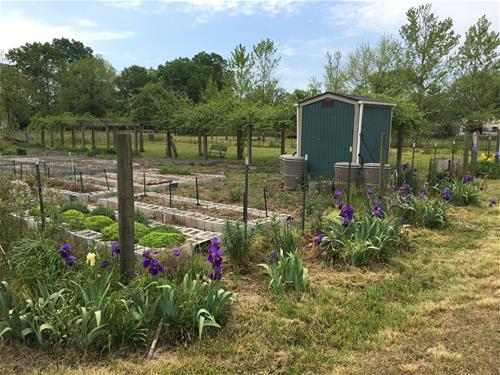 garden &amp; shed