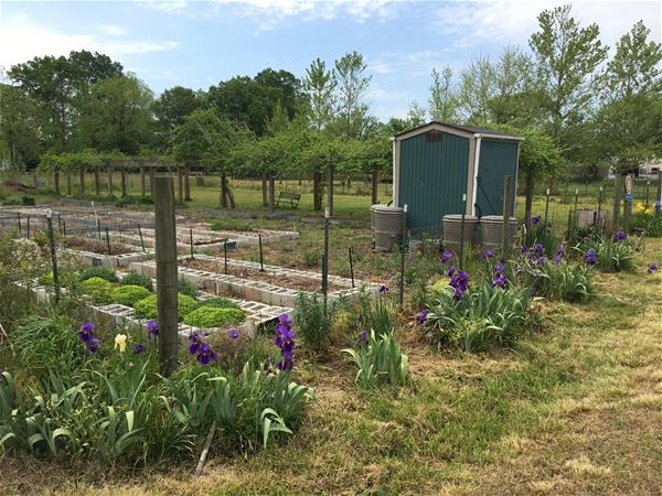 garden & shed garden & shed