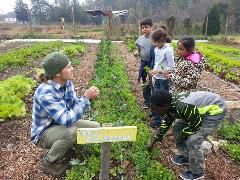 Hub Farm