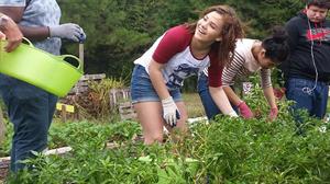 Children at the Hub Farm Children at the Hub Farm