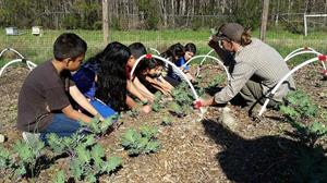 Children at the Hub Farm Children at the Hub Farm
