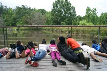 Children at the Hub Farm Children at the Hub Farm