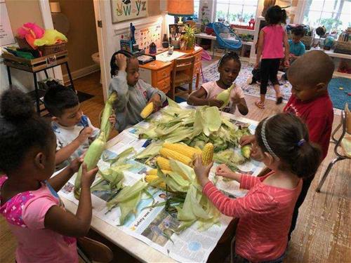 Nutrition-Safe Place shucking A Safe Place childcare - kids shucking corn