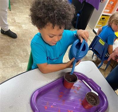 SSCDC watering