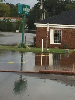 Windsor-Norma 1 Windsor-Norma 1